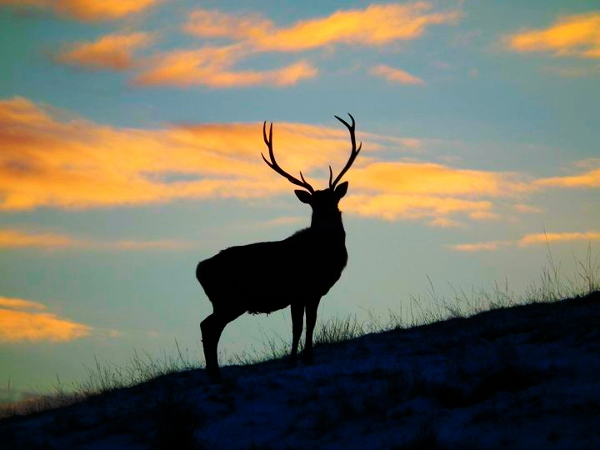 Braemar Local History Group – Winter Talks Programme