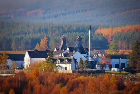 dalwhinnie