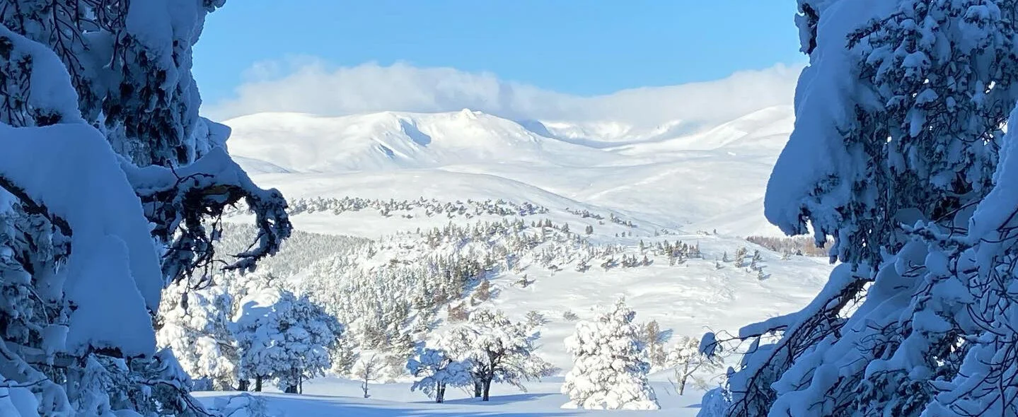 Cairngorms Winter Activities