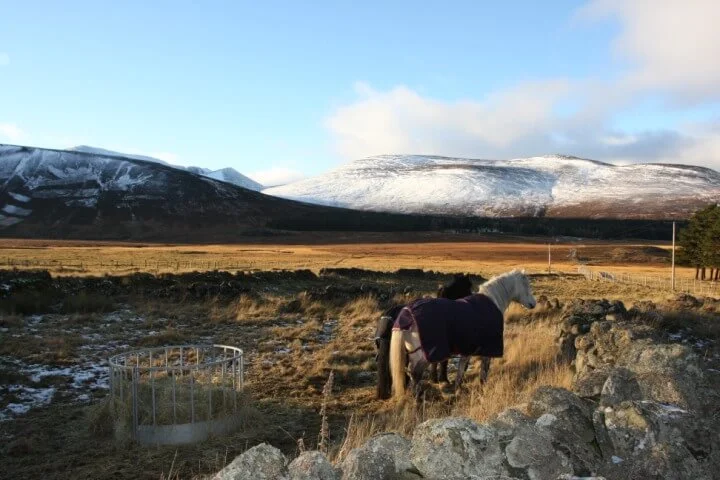 view of the cairngorm national park from the Tomidhu Cottage Accommodation