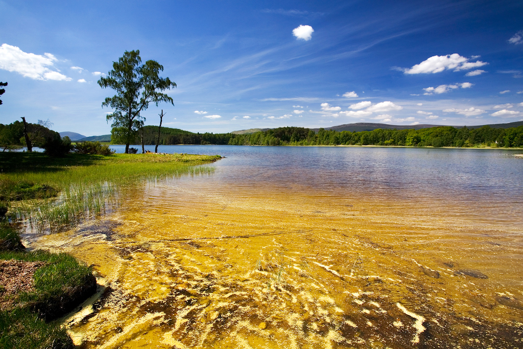 Loch Pityoulish