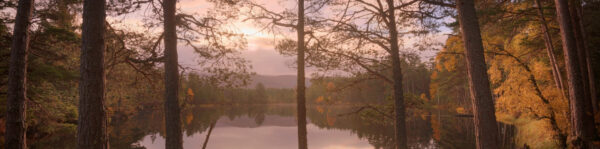 Cairngorms Autumn Escape