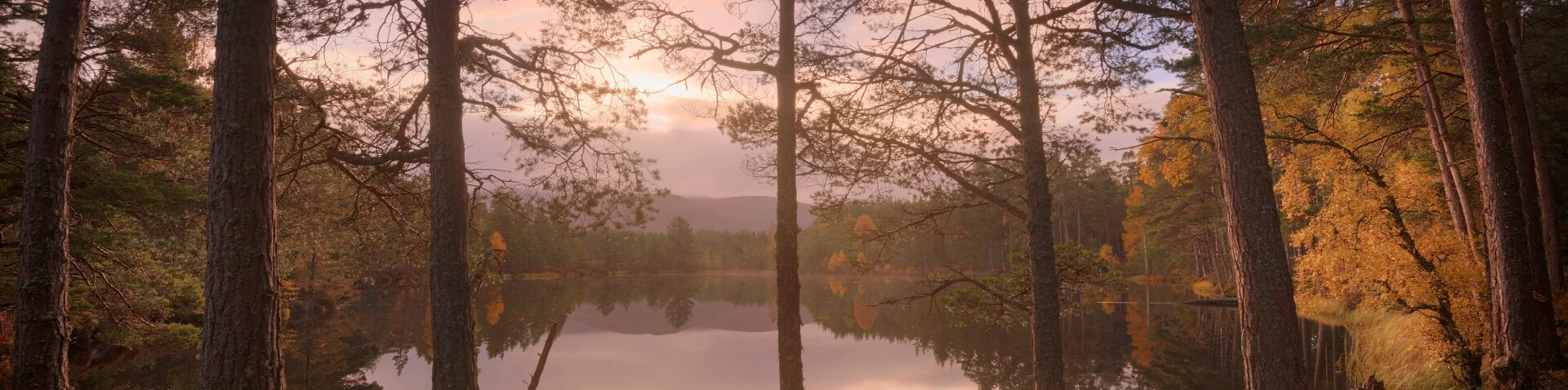 Cairngorms Autumn Escape