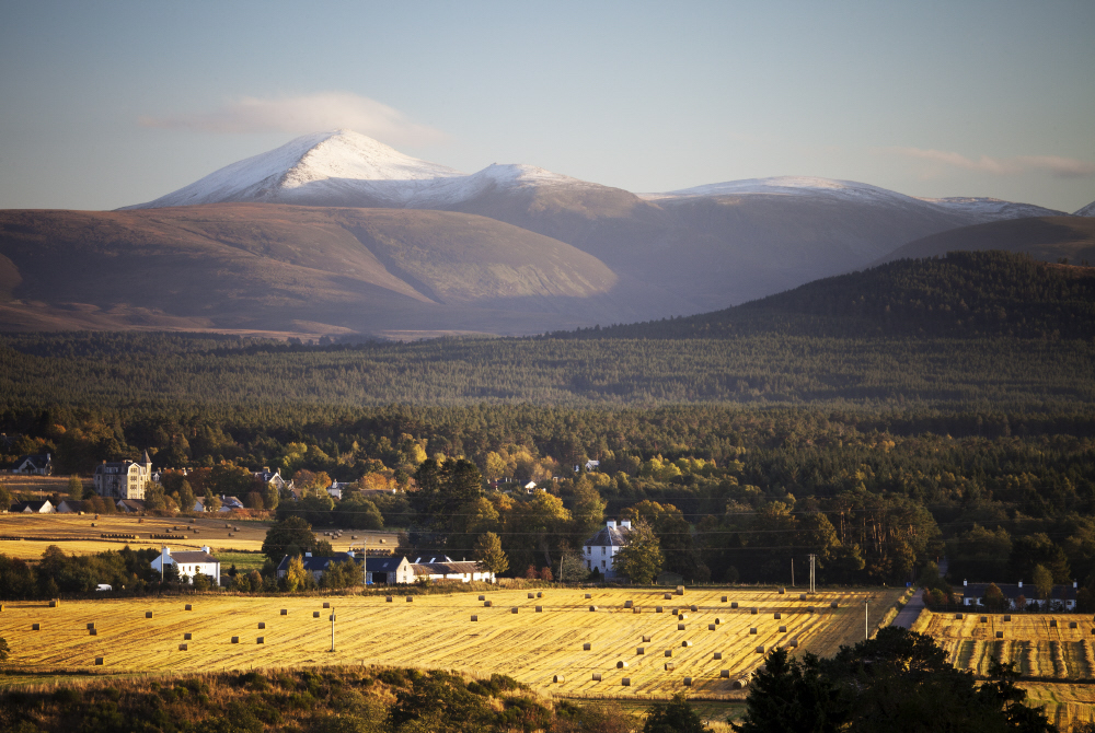 Nethybridge, 'the forest village'; photo James Gordon