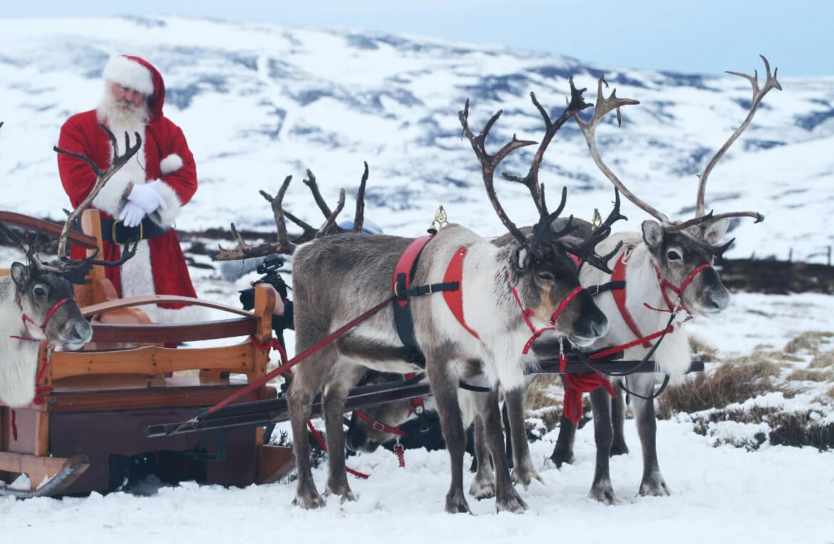 Santa visits the Cairngorm Reindeer Centre