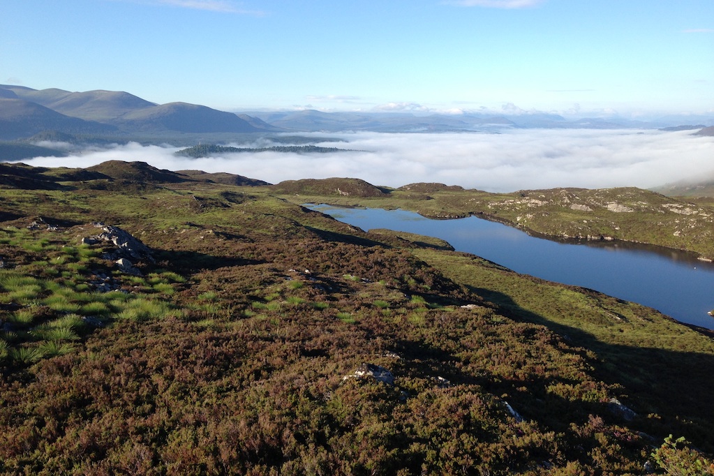 Craigellachie Nature Reserve (photo: Jonathan Macintosh)