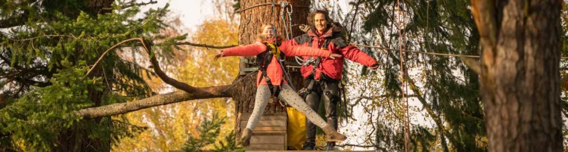 Treezone High ropes