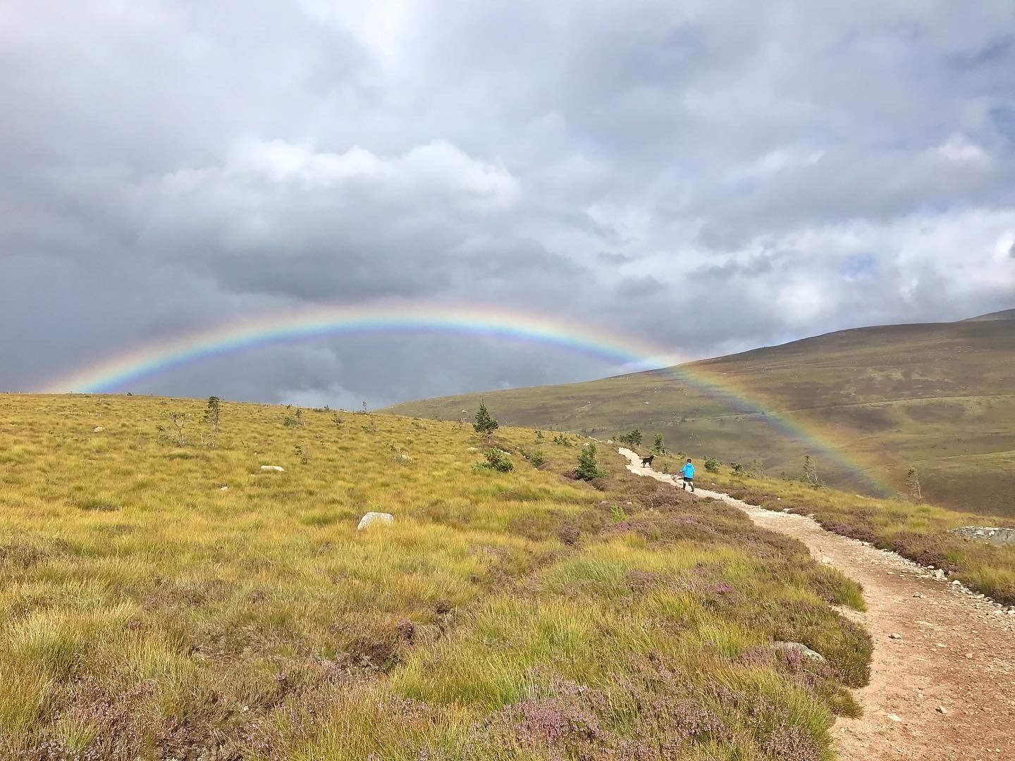 How nature can boost your mental health in the Cairngorms