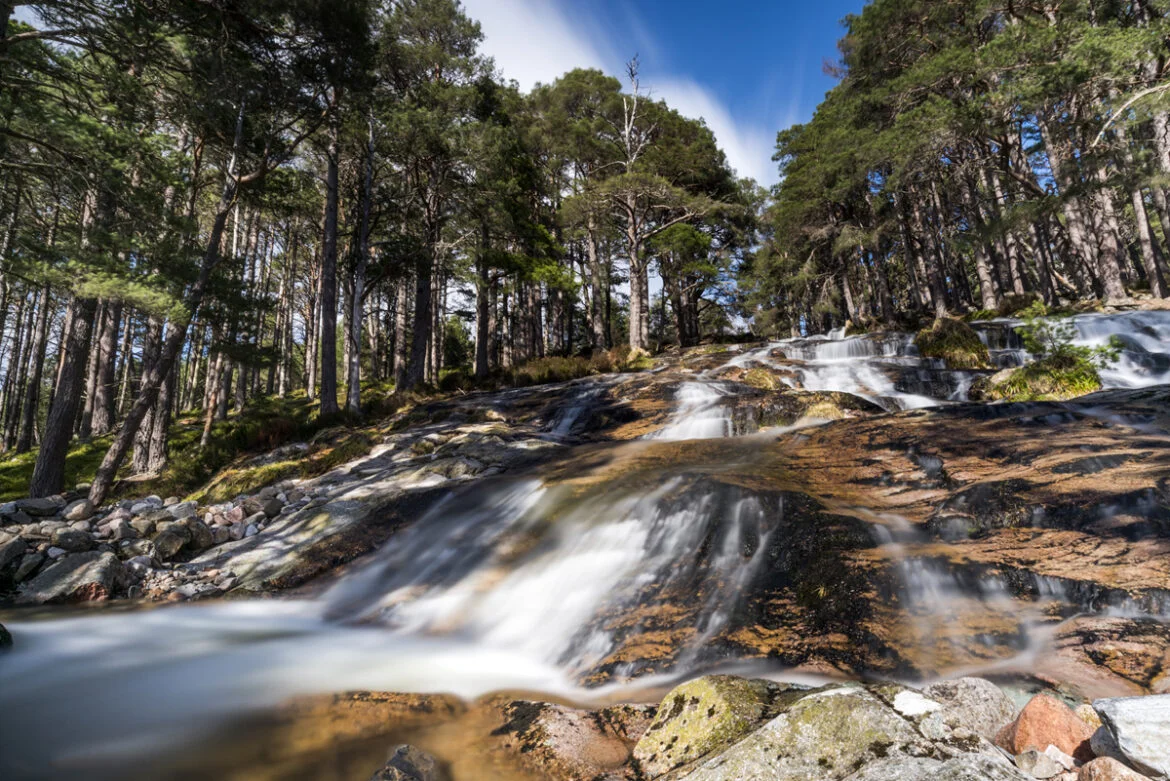 Photographic gems of the Cairngorms