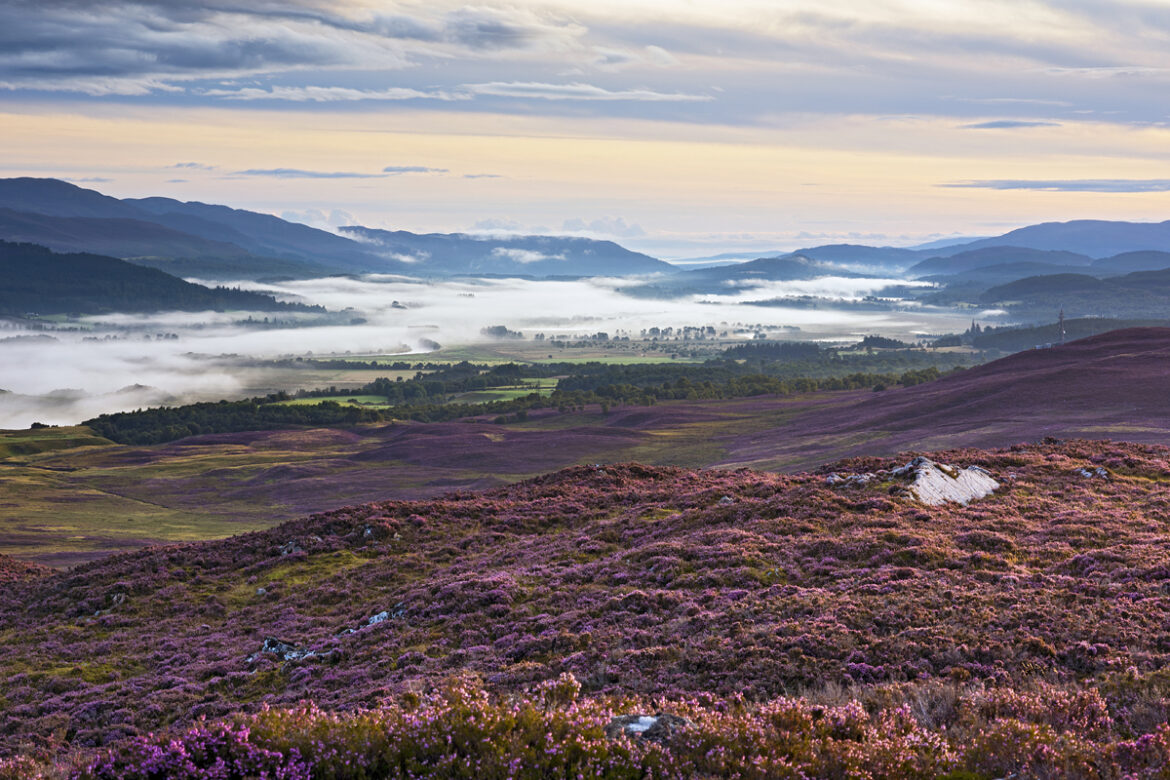 Photographic gems of the Cairngorms