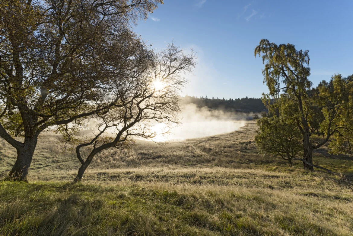 Photographic gems of the Cairngorms