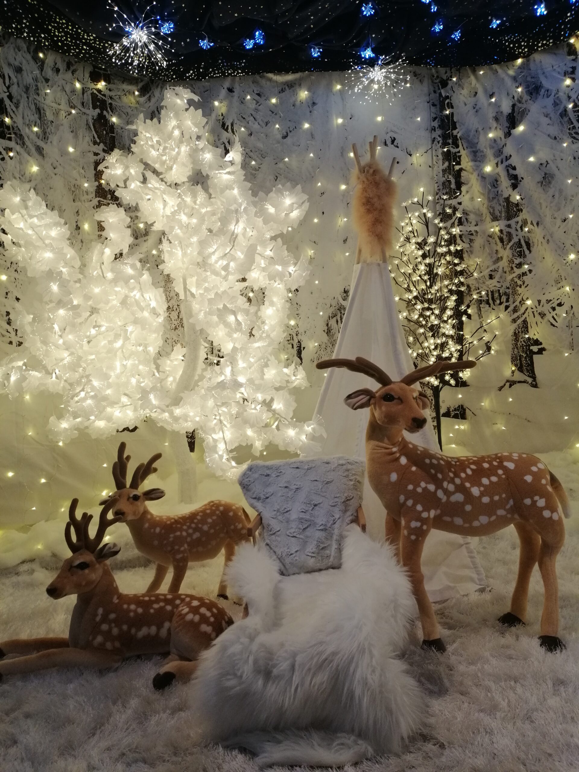 Christmas fun at Landmark Visit Cairngorms