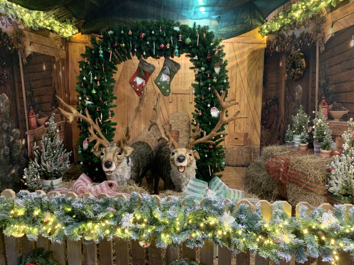 Winter fun at Landmark Adventure Park Visit Cairngorms