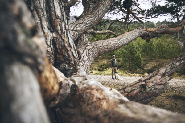 Characters of the Cairngorms