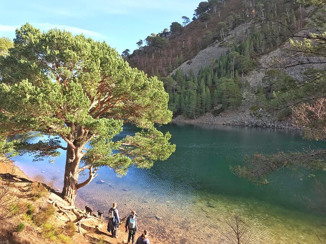 Green loch