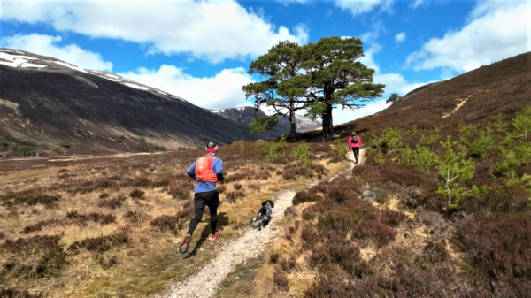 Cairngorms Ultra Trail