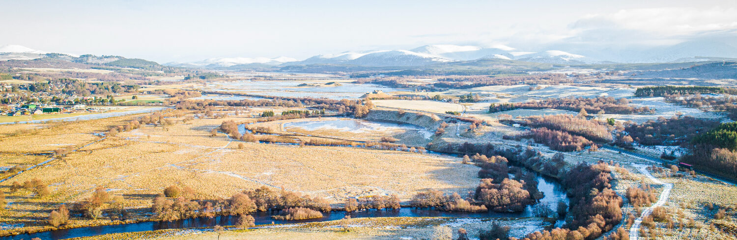 Cairngorms Winter