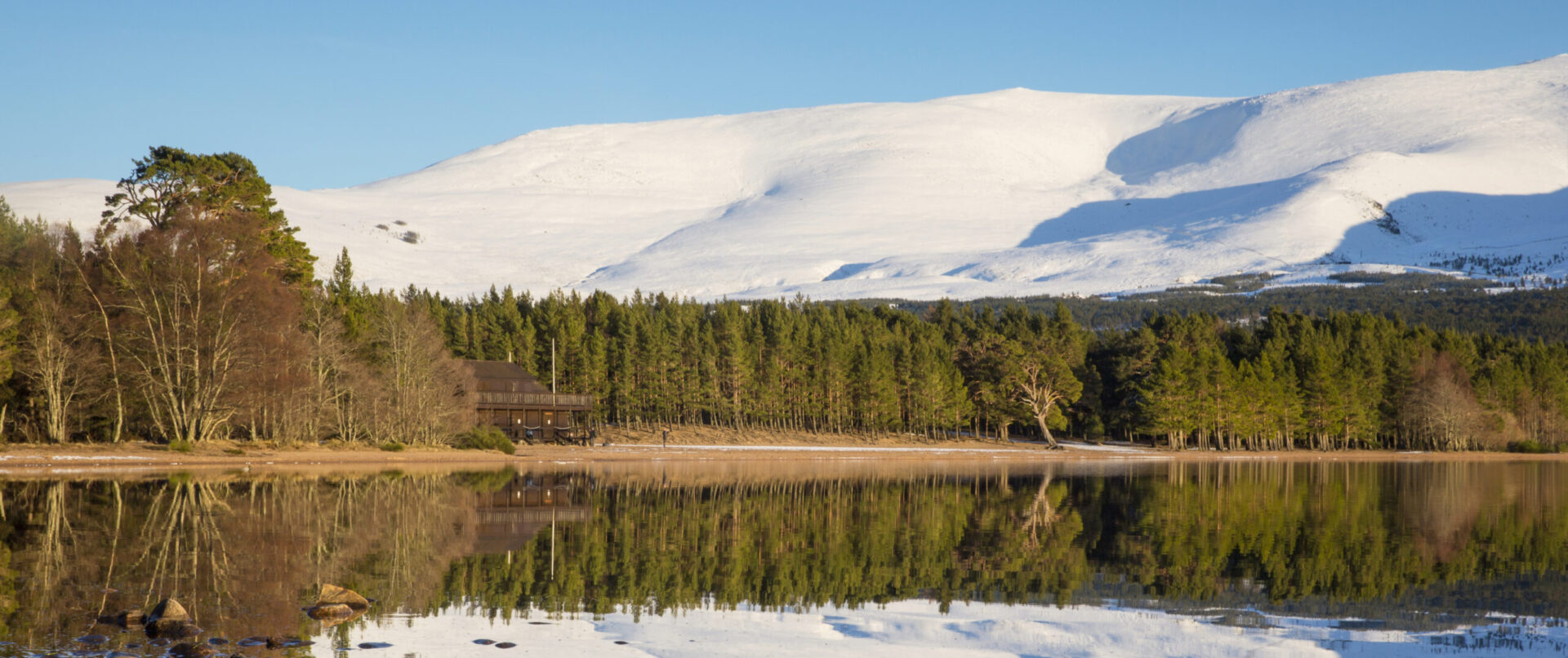 Aviemore Winter Wonderland Experiences Visit Cairngorms Aviemore Winter Wonderland Experiences Visit Cairngorms