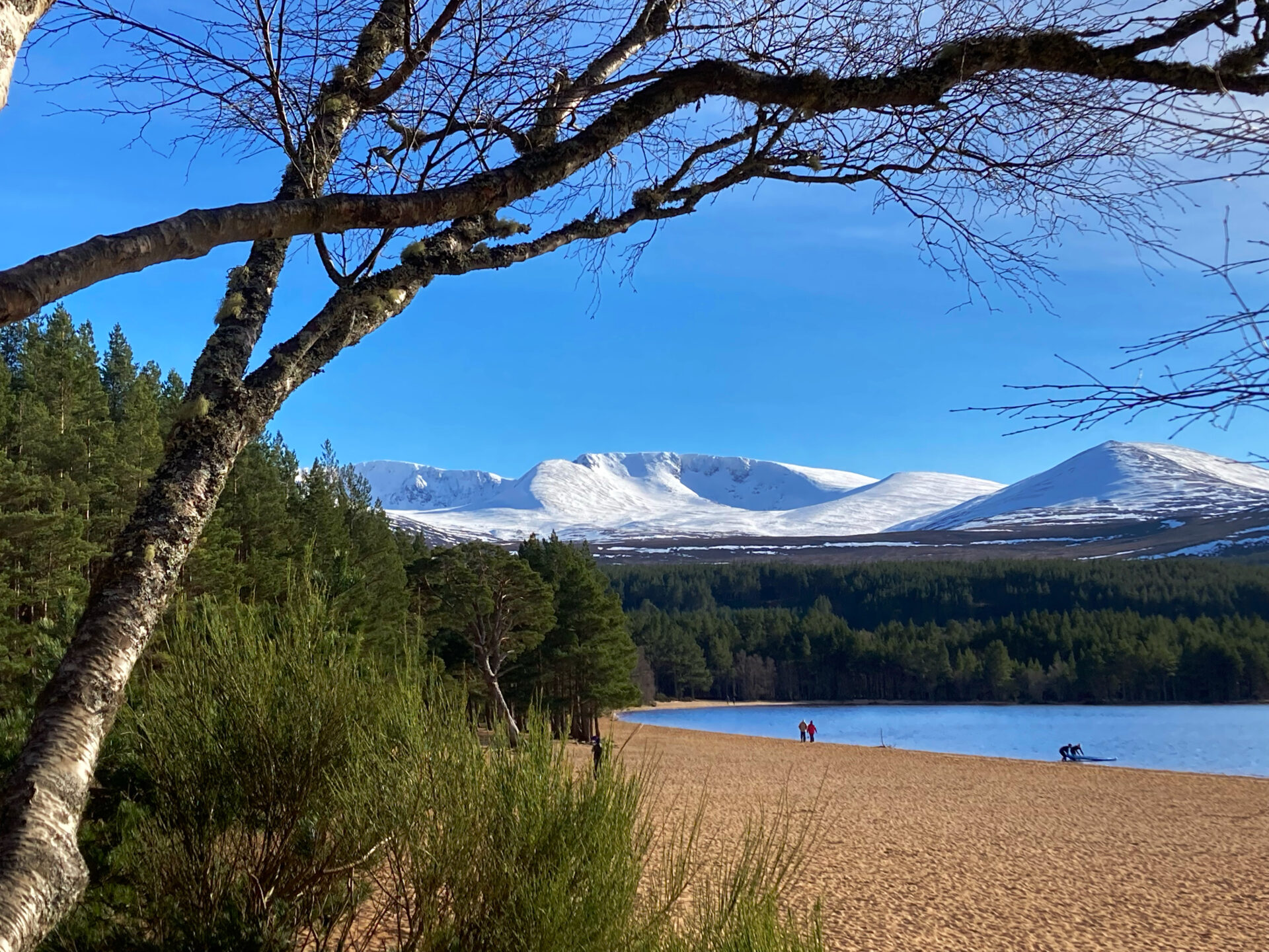 Loch Morlich - Visit Cairngorms