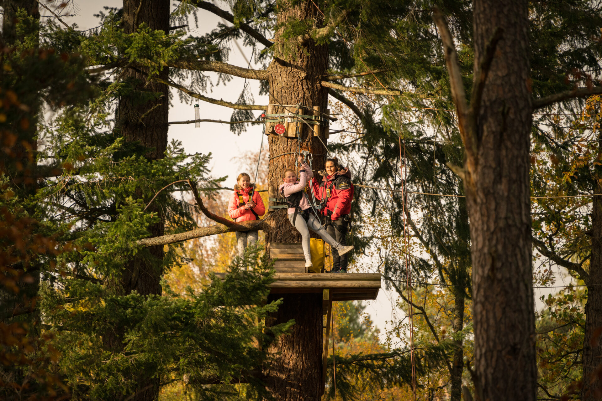 zip lines in the Cairngorms