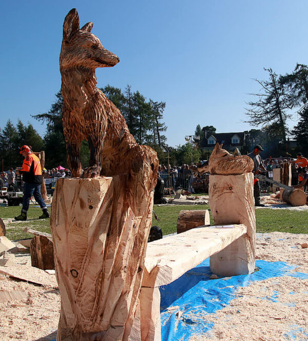 Carve Carrbridge aka Scottish Open Chainsaw Carving Competition