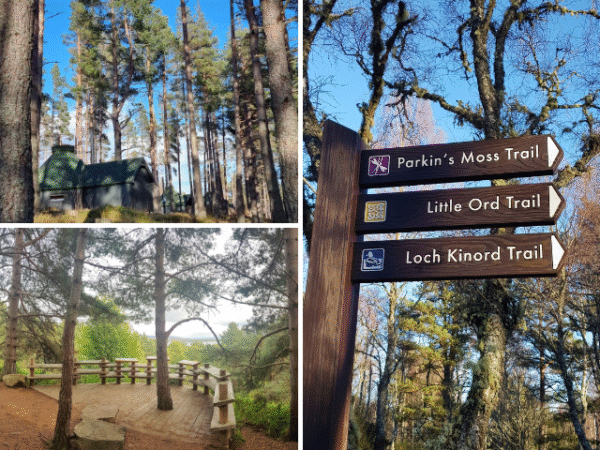 Loch Kinord & Muir of Dinnet Guided Walk with Cairngorm Excursions