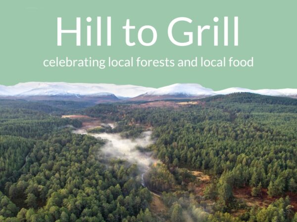 Hill to Grill 2025