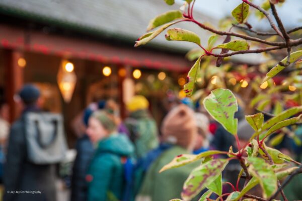 Logie Steading Christmas Market