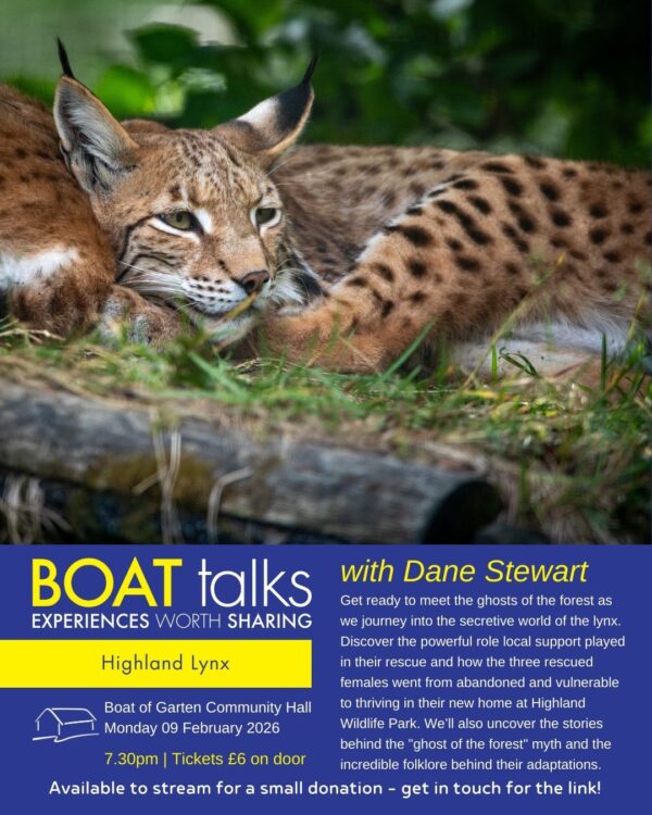 Boat Talks: Highland Lynx with Dane Stewart