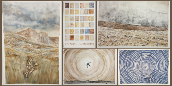 Wild Watercolours with Ellie