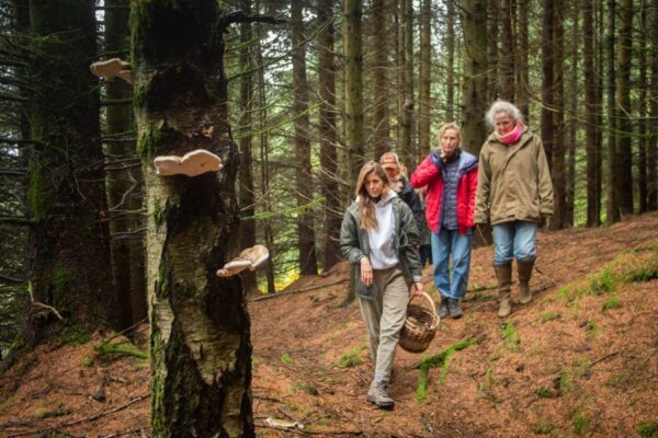 Autumn Foraging at Blair Castle