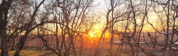 A Bealltainn Gathering