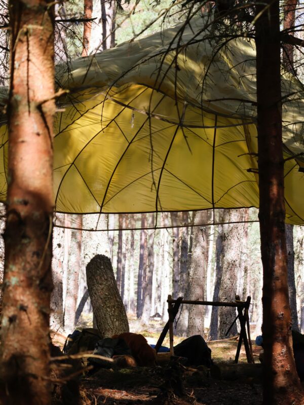 3 Day Intermediate Survival Course
