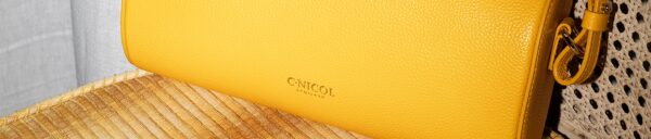 Sunday shopping at the C.Nicol studio, Grantown-on-Spey