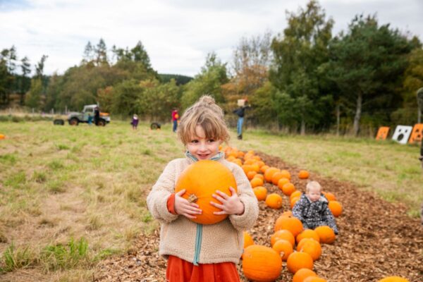 Pumpkins at Highland Wildlife Park