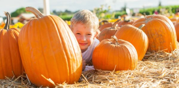 Pumpkins at Highland Wildlife Park