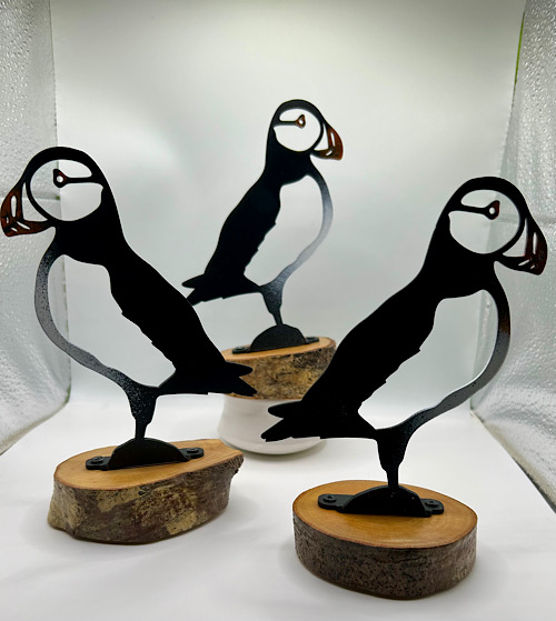 Gill & Ian Williams Exhibition in the Long Room