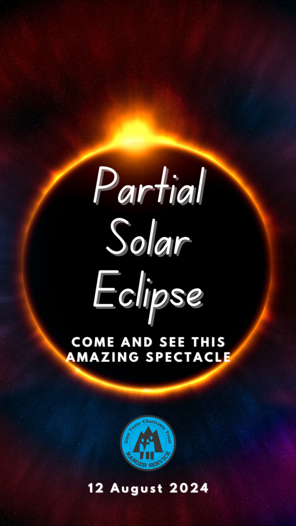 Partial Eclipse Viewing