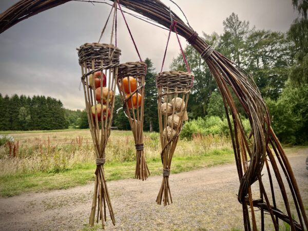 Food for the Birds – bird feeder workshop
