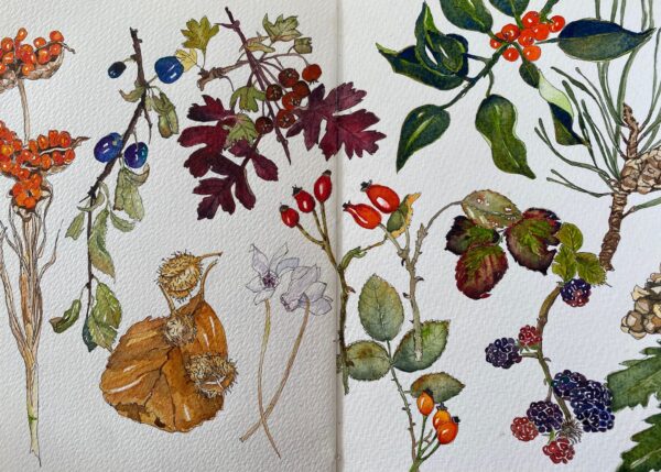 Notes in Nature Workshop