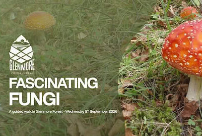 Fascinating Fungi